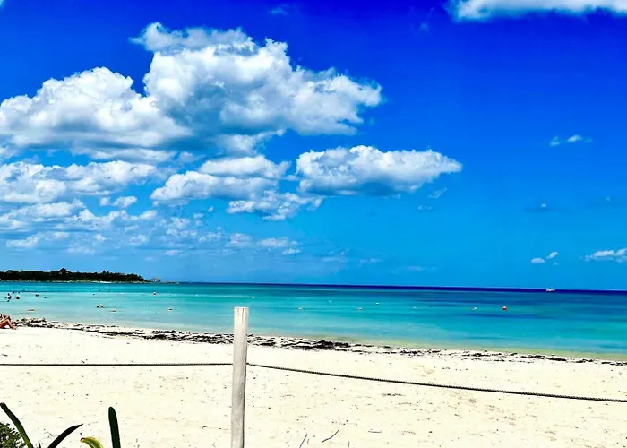 Luxury Penthouse! Private Rooftop Pool Elevator Tulum